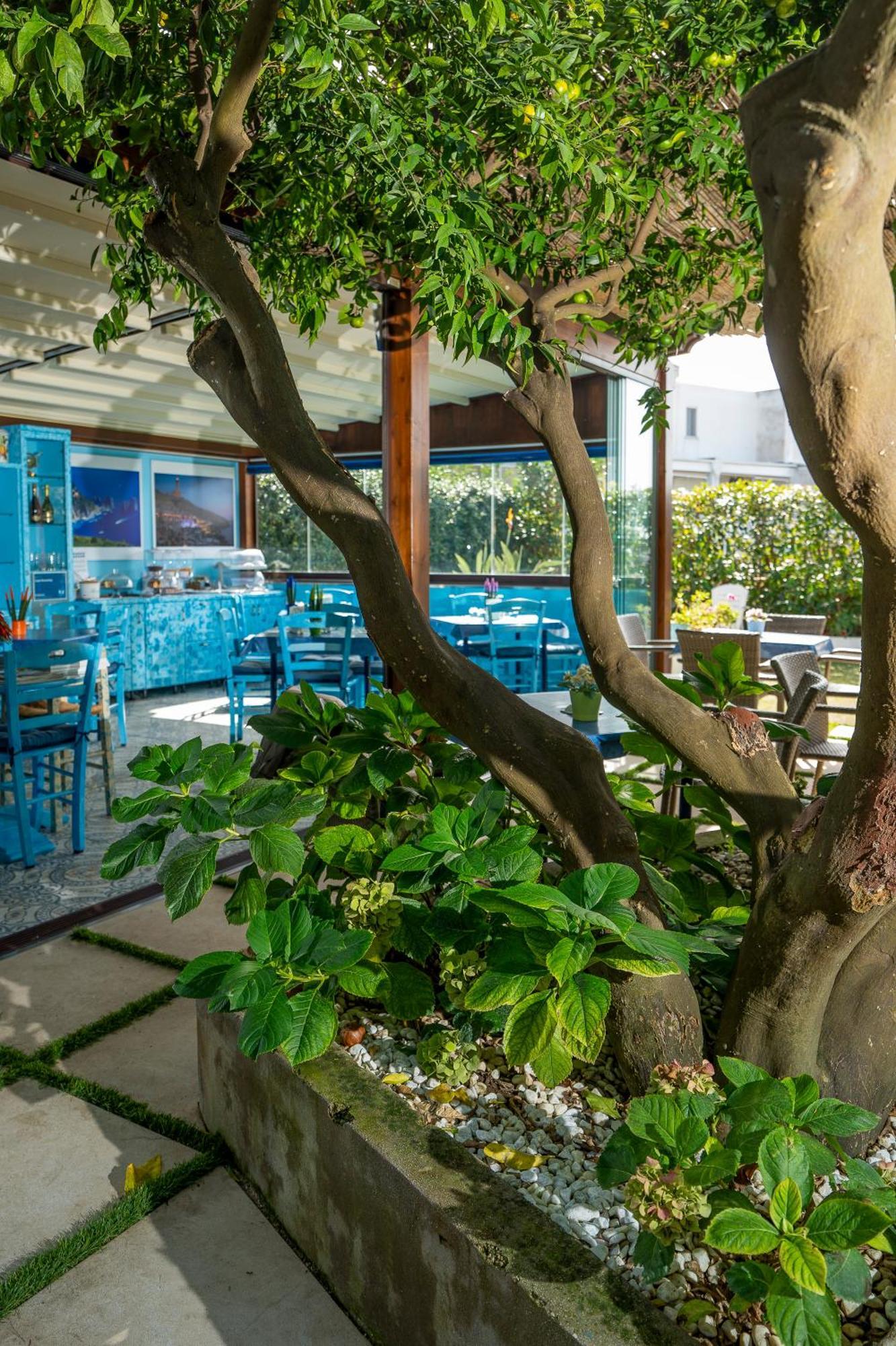 Bed and Breakfast Capri Dreaming Anacapri  Exteriér fotografie