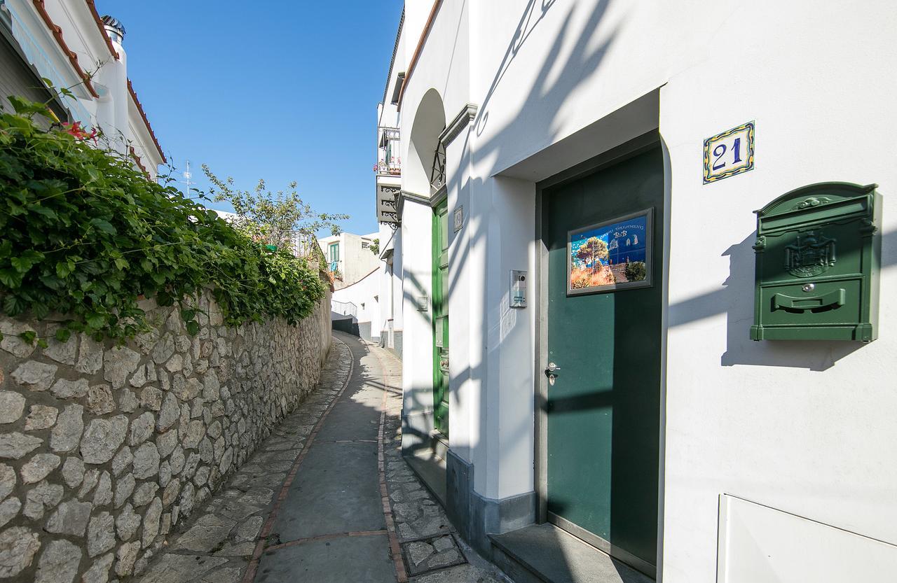 Bed and Breakfast Capri Dreaming Anacapri  Exteriér fotografie