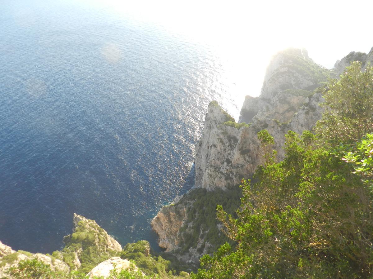 Bed and Breakfast Capri Dreaming Anacapri  Exteriér fotografie
